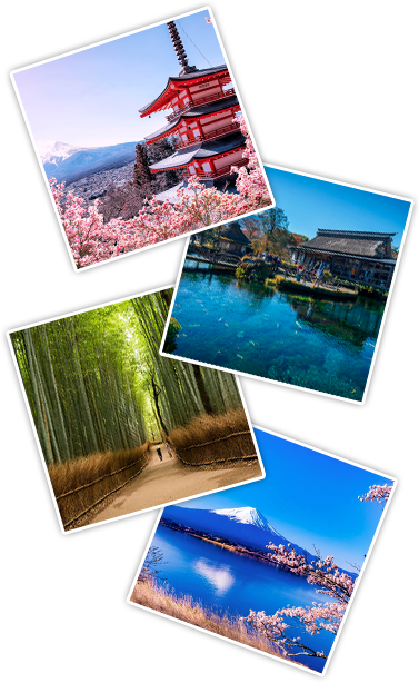 Family Destination Packages - Japan Itinerary, Sakthi Tours & Travels, Chennai